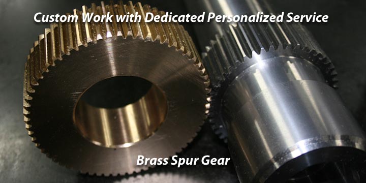 Brass Spur Gear